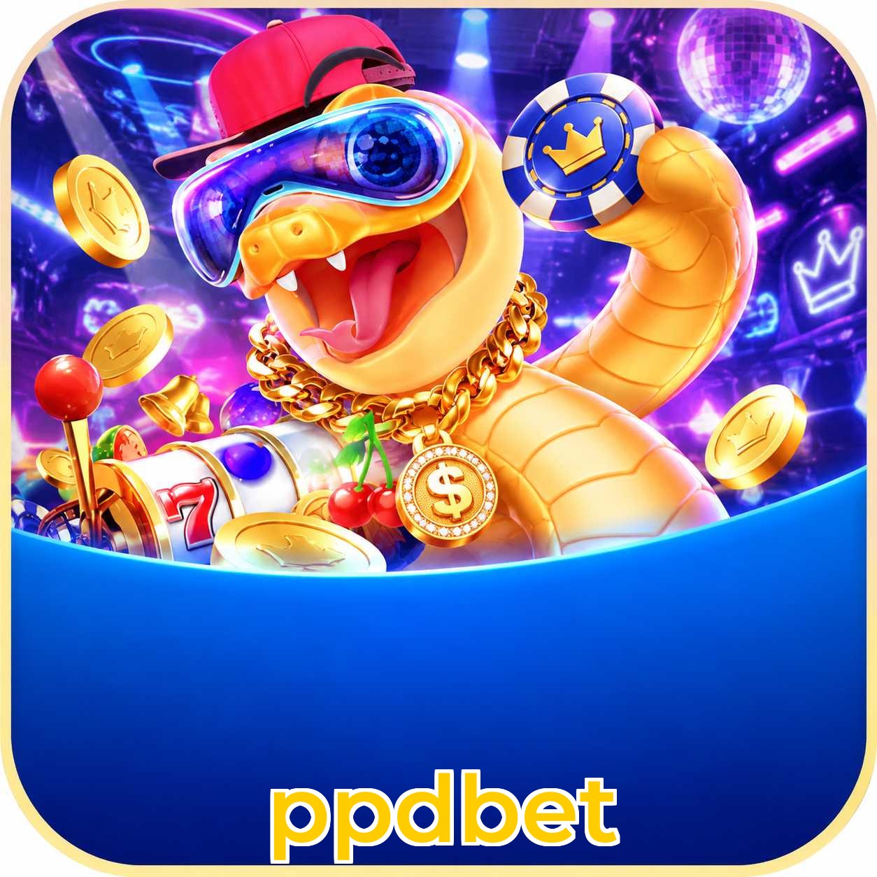 ppdbet Bet Types