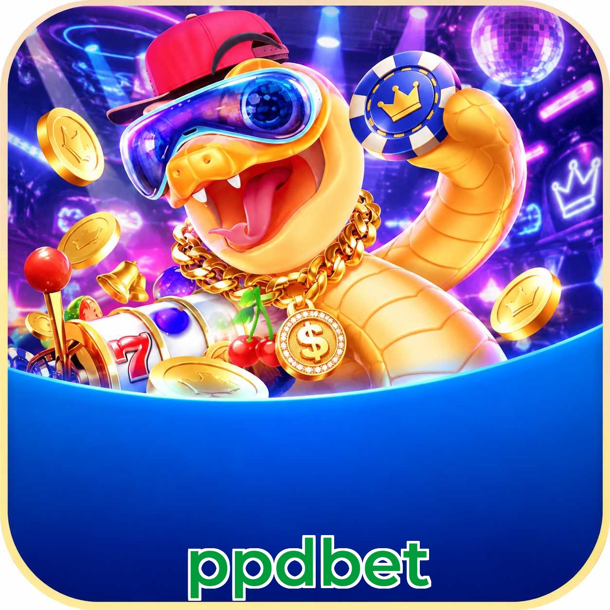ppdbet Login FAQ